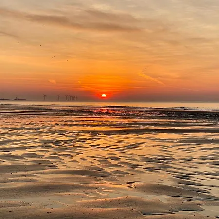 Orfeo * Knokke-Heist