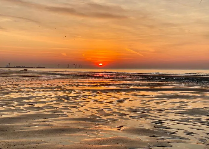 Orfeo * Knokke-Heist